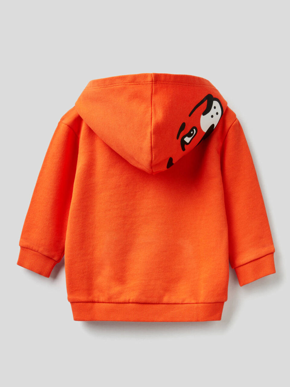 Sweatshirt aus reiner Baumwolle mit Kapuze image number 2