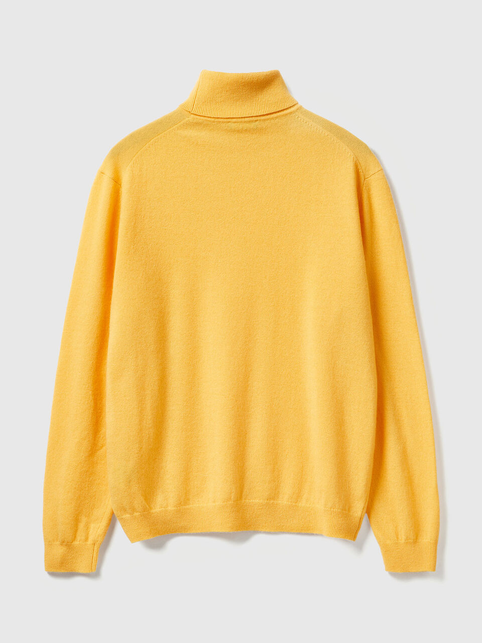 TURTLE NECK SWEATER Herren image number null