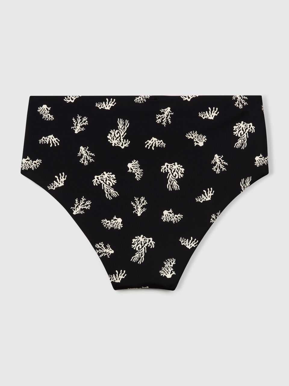 SWIMMING BRIEFS Damen image number 2
