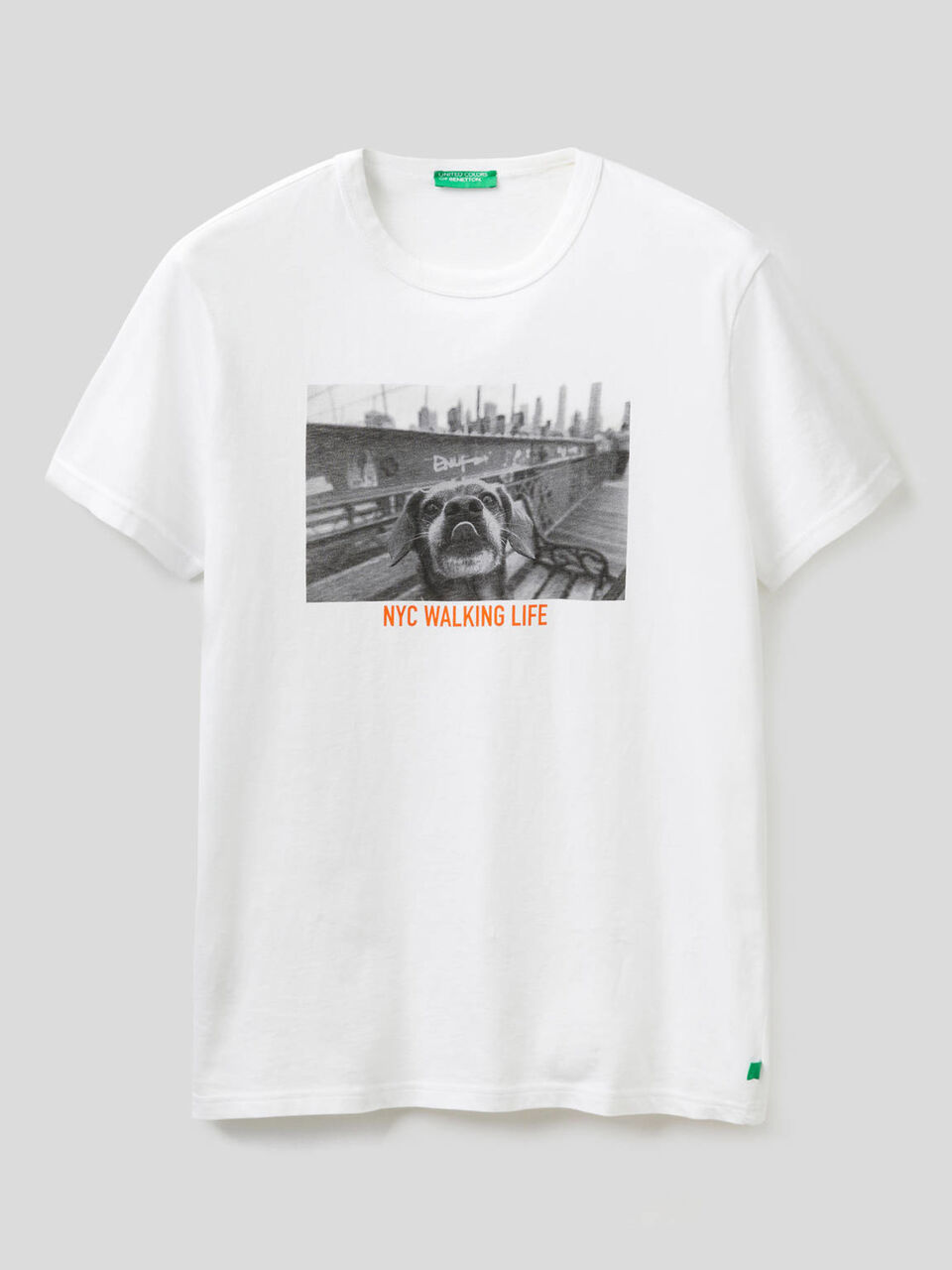 T-Shirt aus Bio-Baumwolle mit Print image number 1