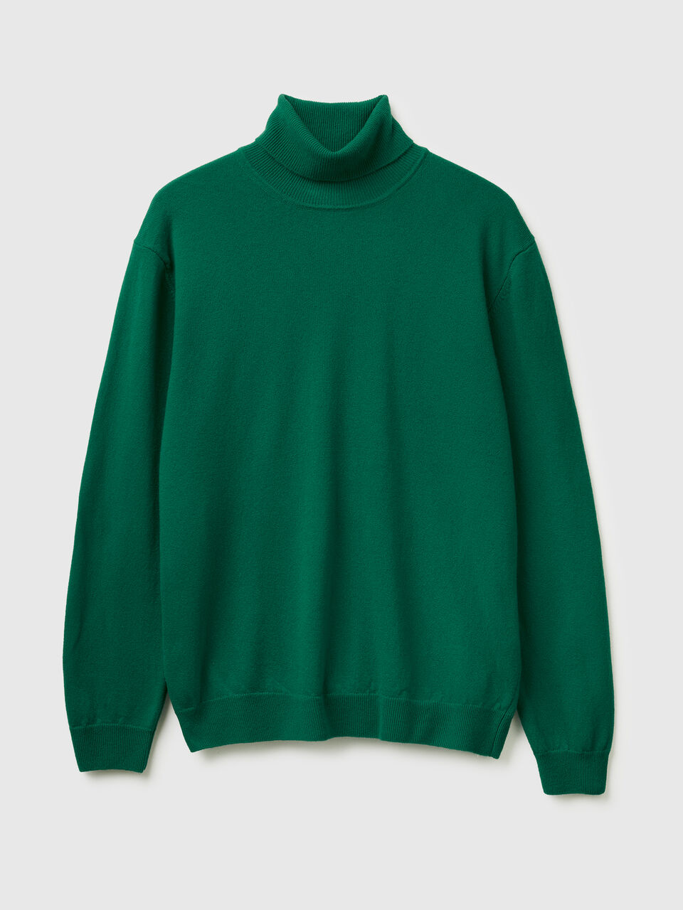 TURTLE NECK SWEATER Herren image number 1