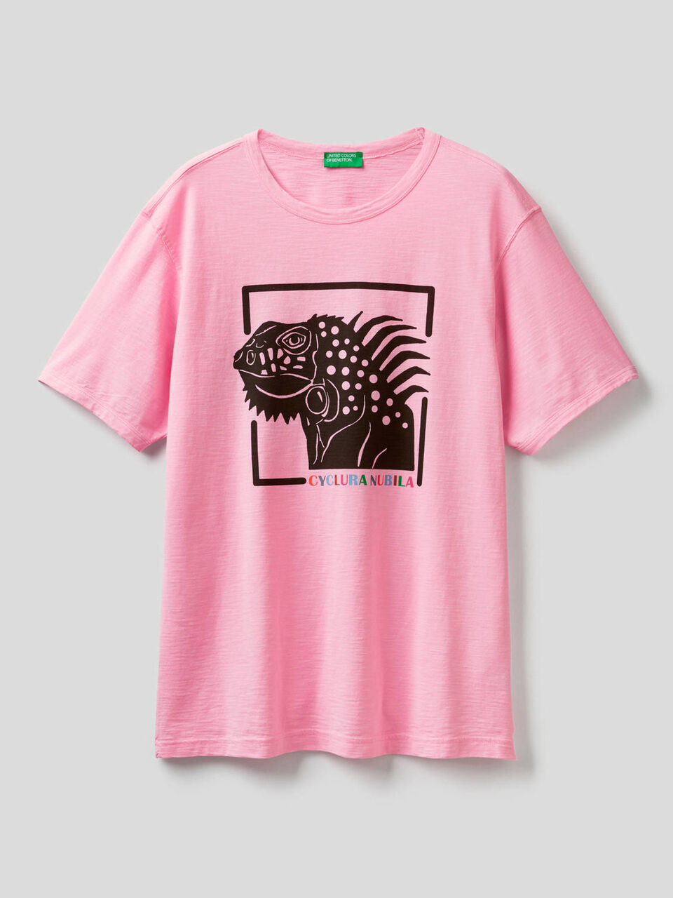 T-Shirt aus reiner Baumwolle mit Print image number 1