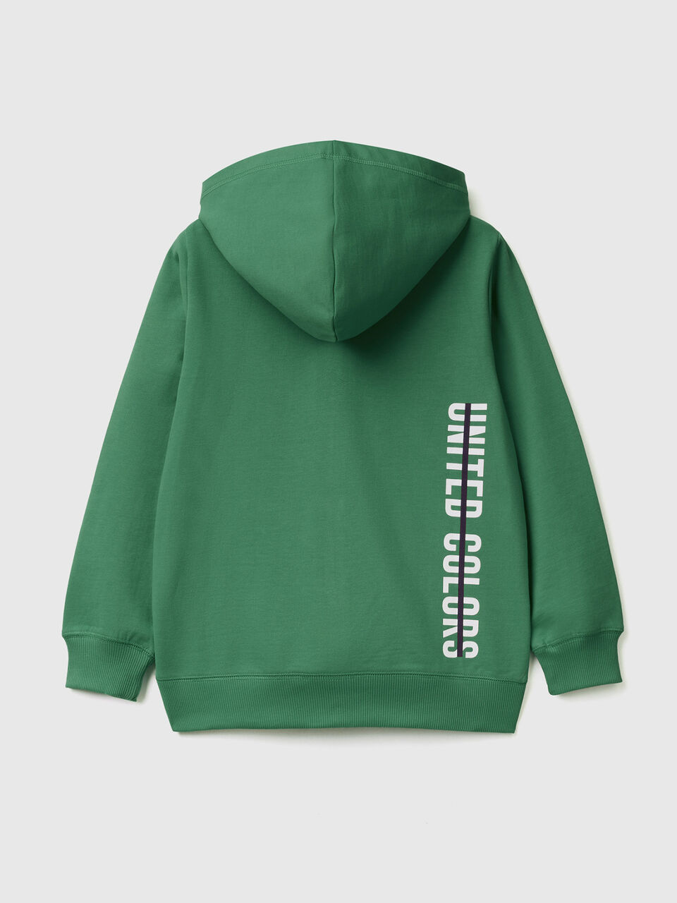 Sweatshirt mit Reißverschluss und Kapuze image number 2